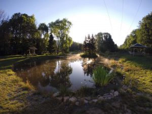 Der Fischteich am Morgen, mit Sitzgelegenheiten